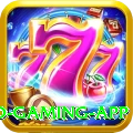 IPL Betting Pakistan Turbo Gaming App